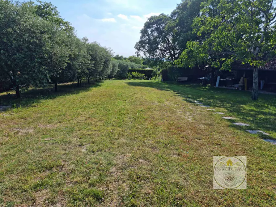 Immagine 14 di Terreno in vendita  a Baone