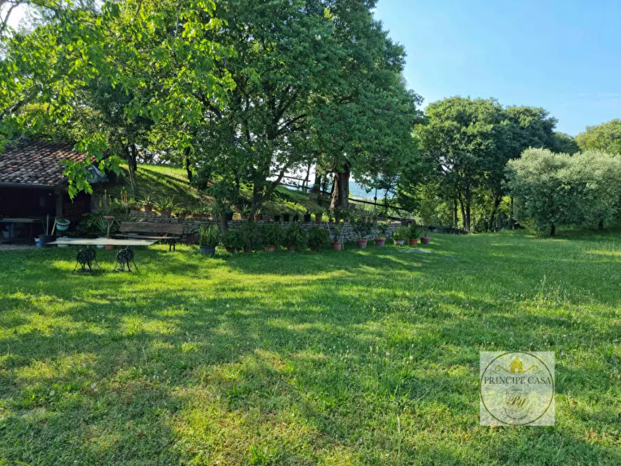 Immagine 16 di Terreno in vendita  a Baone