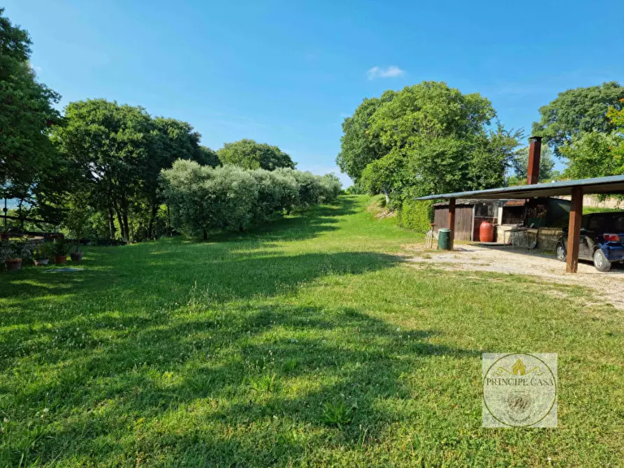 Immagine 17 di Terreno in vendita  a Baone