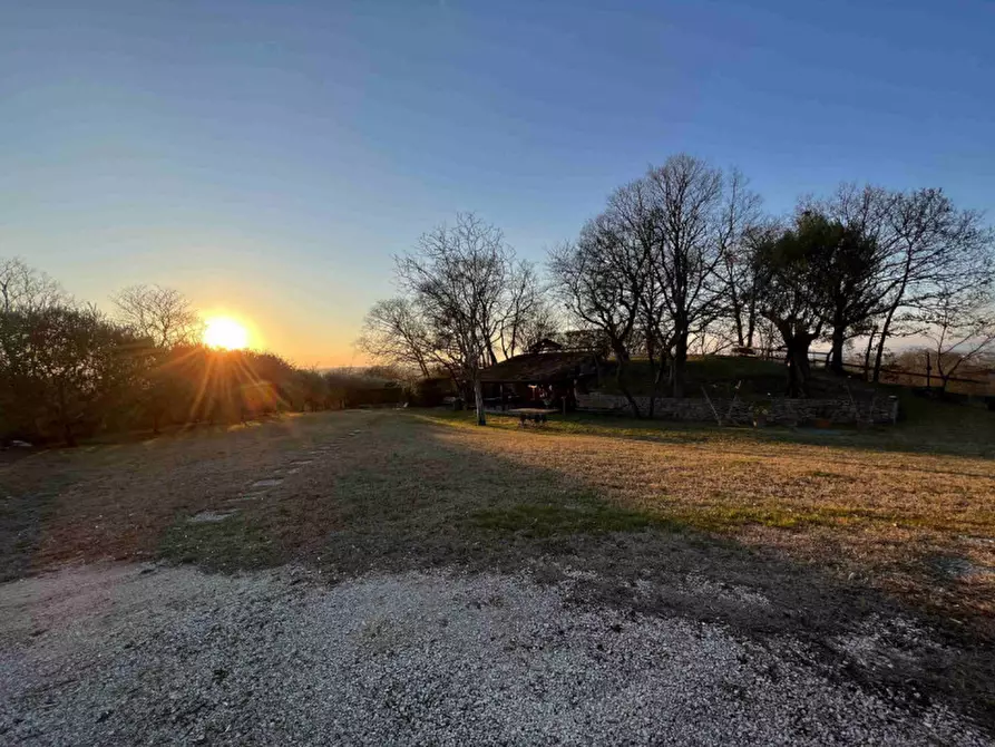 Immagine 20 di Terreno in vendita  a Baone