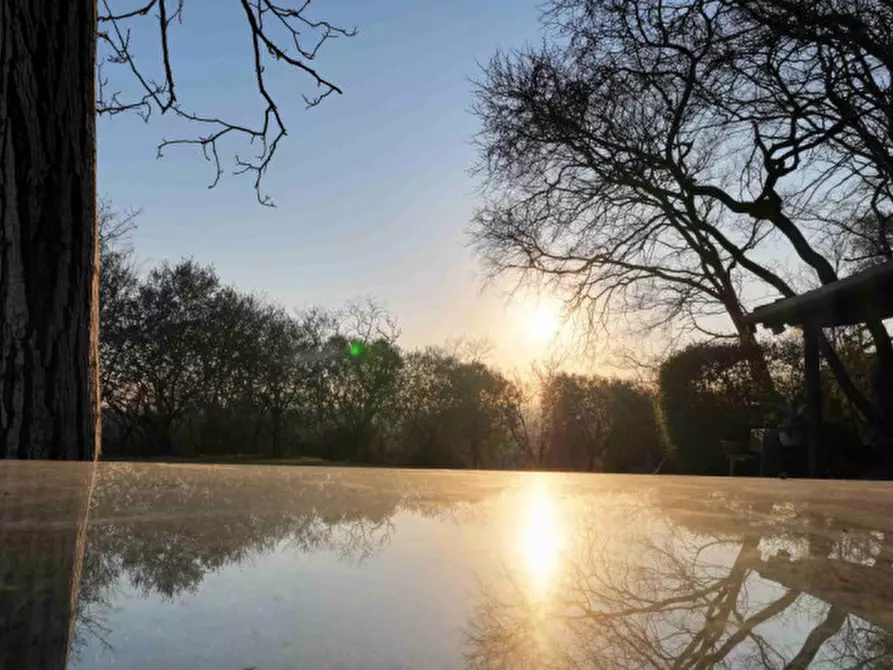 Immagine 27 di Terreno in vendita  a Baone