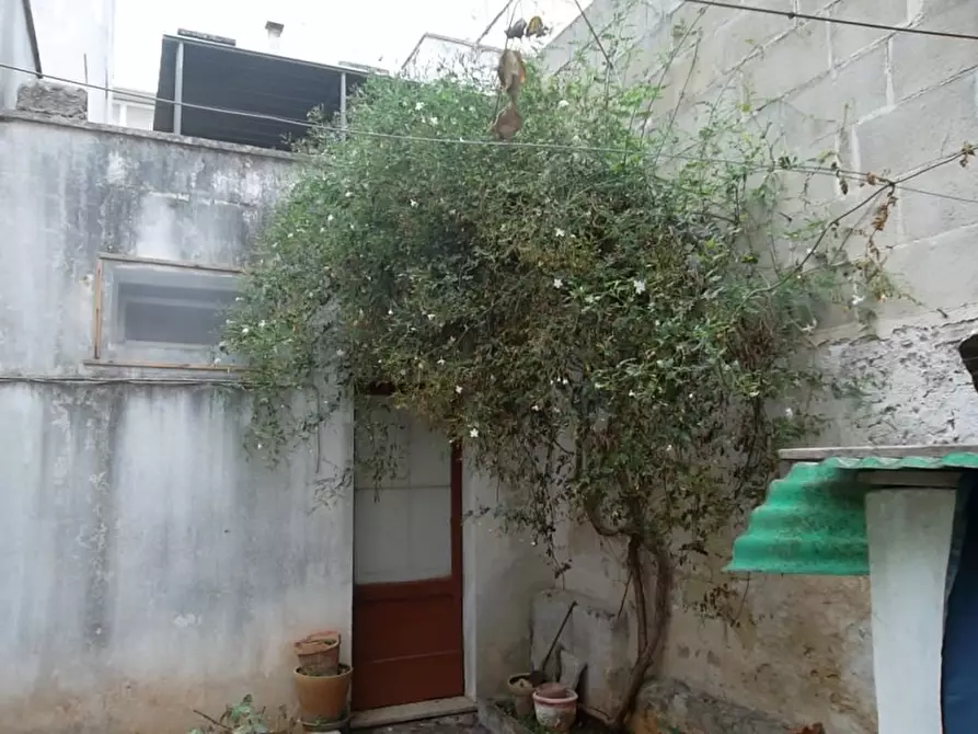 Immagine 16 di Casa indipendente in vendita  a Parabita