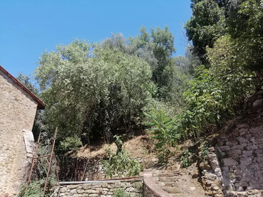 Immagine 18 di Villetta a schiera in vendita  a Tuoro Sul Trasimeno