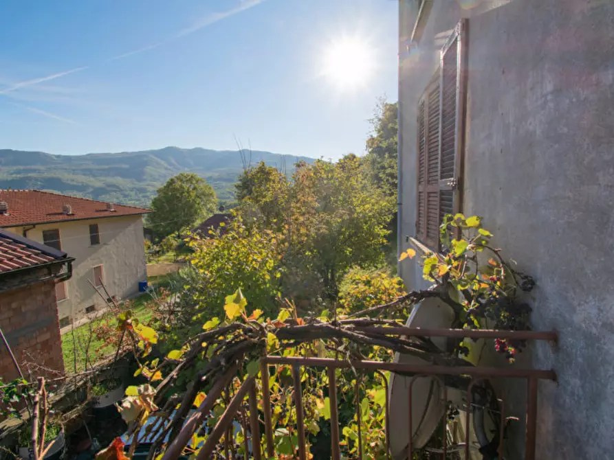 Immagine 4 di Casa indipendente in vendita  a Bore