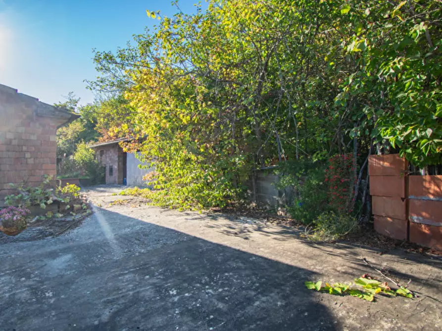 Immagine 6 di Casa indipendente in vendita  a Bore