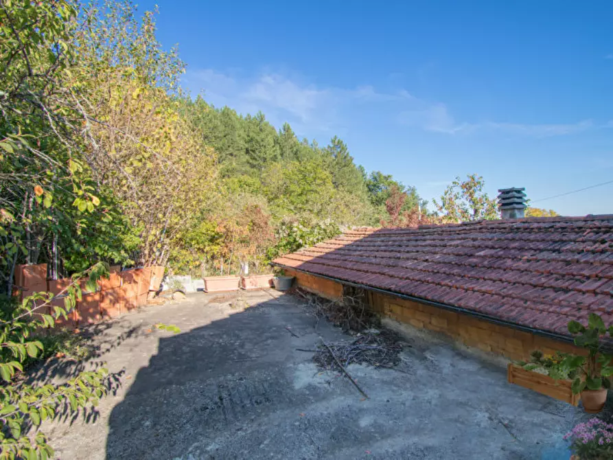 Immagine 7 di Casa indipendente in vendita  a Bore