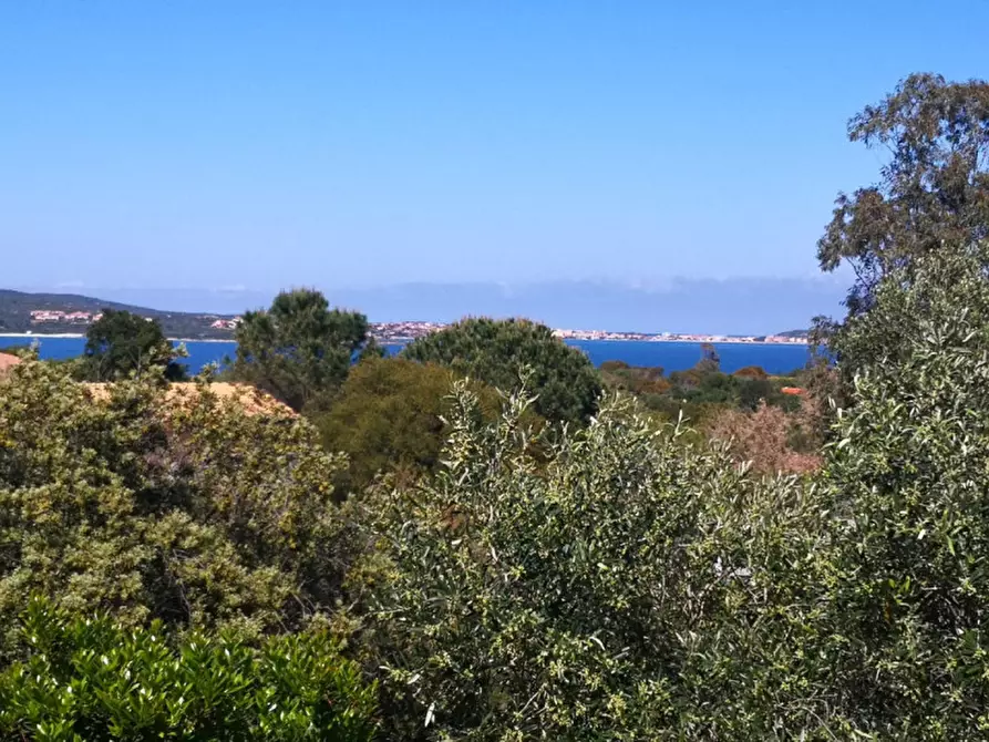 Immagine 10 di Appartamento in vendita  in sos aranzos snc a Golfo Aranci