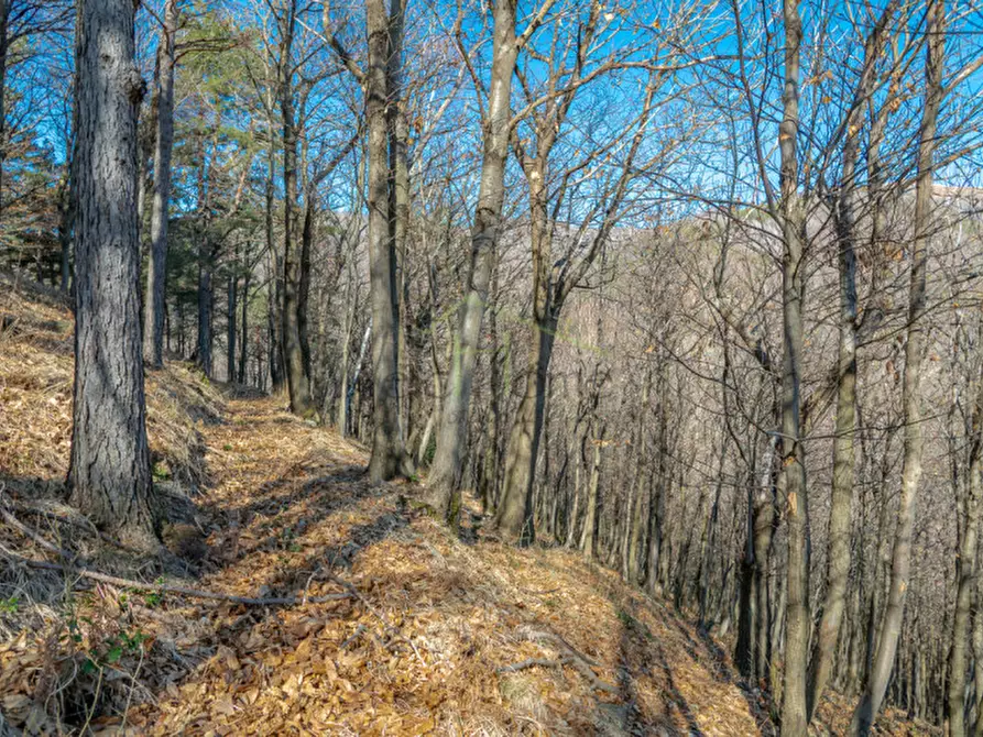 Immagine 45 di Villa in vendita  a Tavernerio