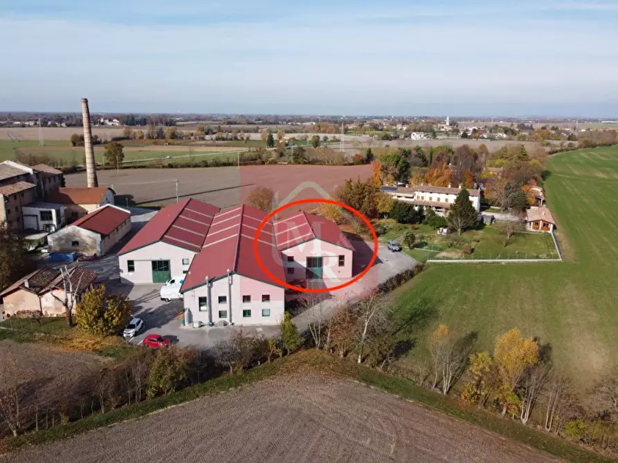 Immagine 23 di Capannone industriale in vendita  in Via Pasteur 2/a a Ruda