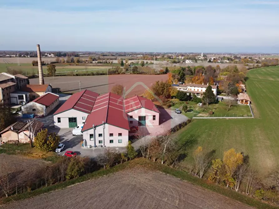 Immagine 3 di Capannone industriale in vendita  in Via Pasteur 2/a a Ruda