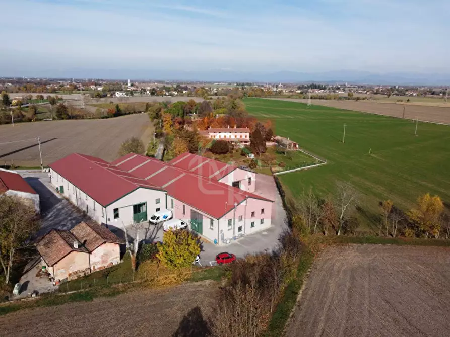 Immagine 4 di Capannone industriale in vendita  in Via Pasteur 2/a a Ruda