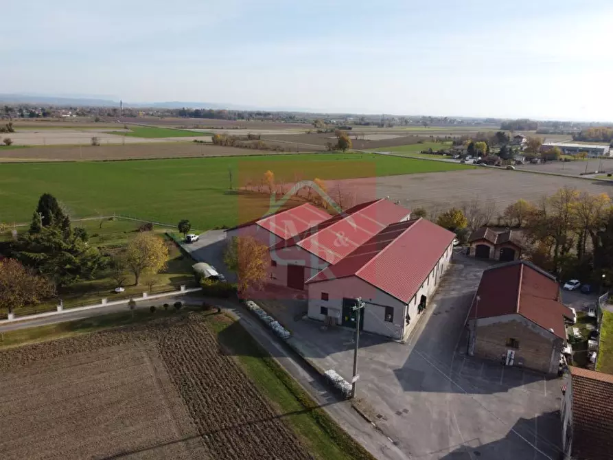 Immagine 6 di Capannone industriale in vendita  in Via Pasteur 2/a a Ruda