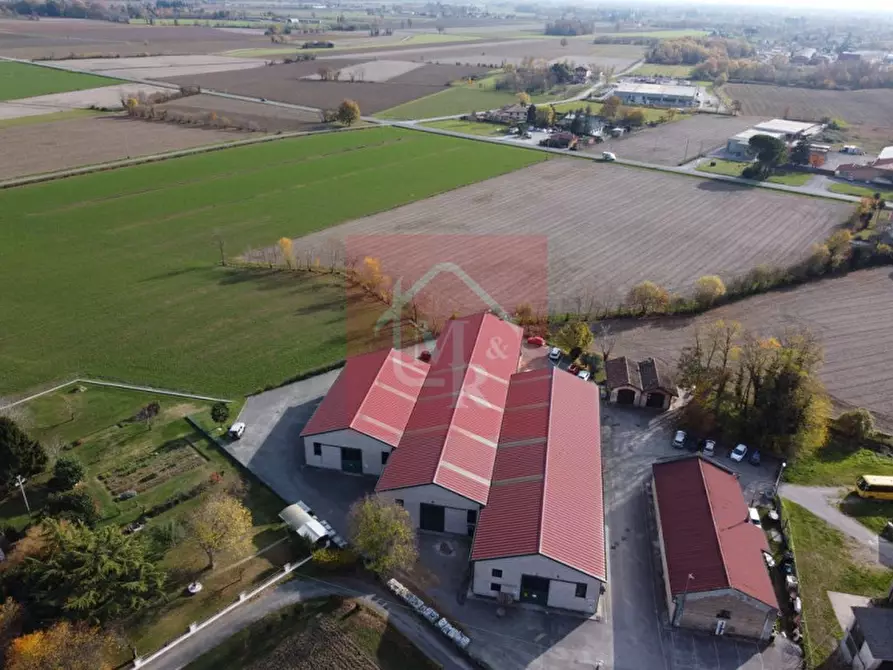 Immagine 7 di Capannone industriale in vendita  in Via Pasteur 2/a a Ruda