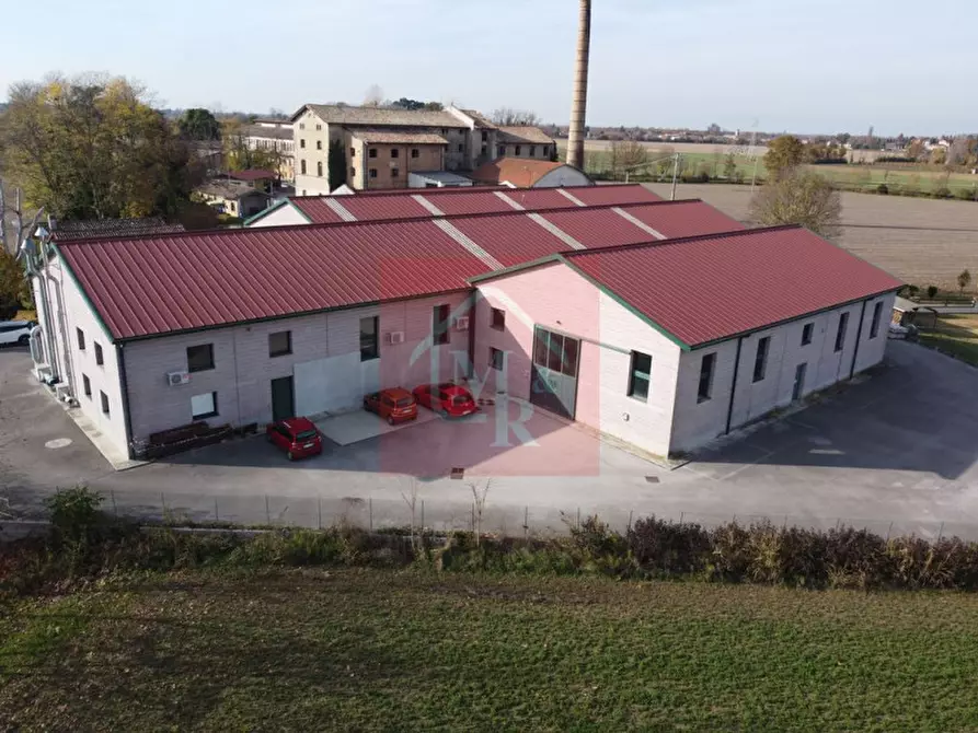 Immagine 10 di Capannone industriale in vendita  in Via Pasteur 2/a a Ruda