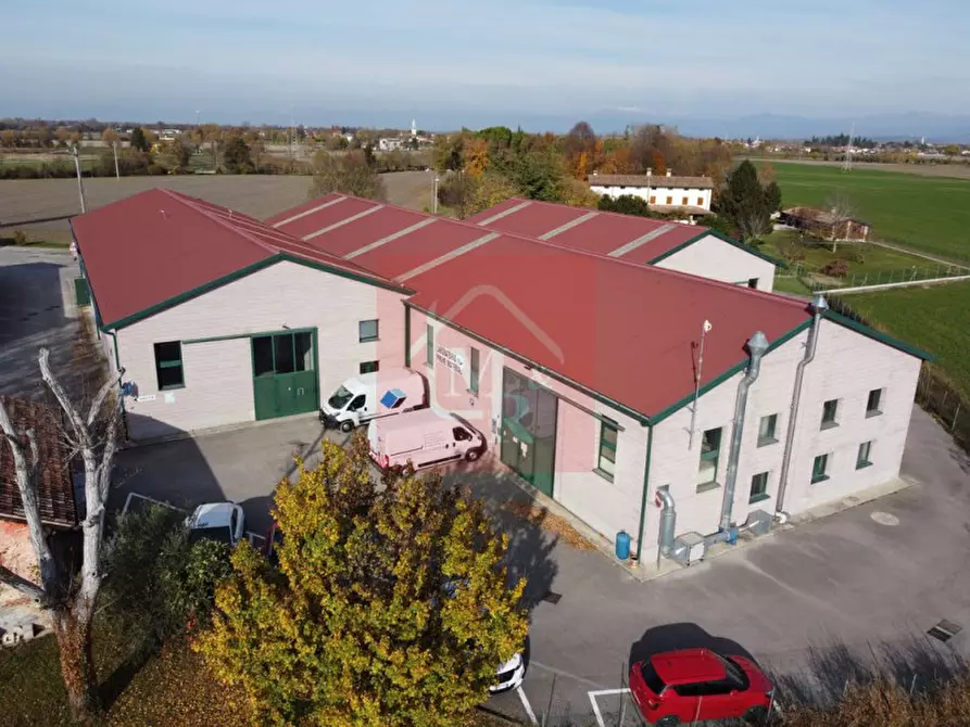 Immagine 11 di Capannone industriale in vendita  in Via Pasteur 2/a a Ruda