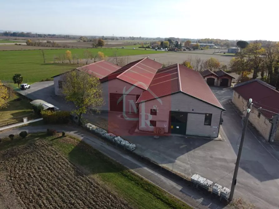 Immagine 12 di Capannone industriale in vendita  in Via Pasteur 2/a a Ruda