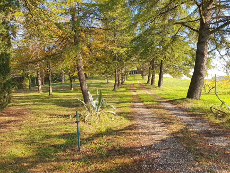 Immagine 1 di Villa in vendita  in Via Chiesa del Casale a Cesena