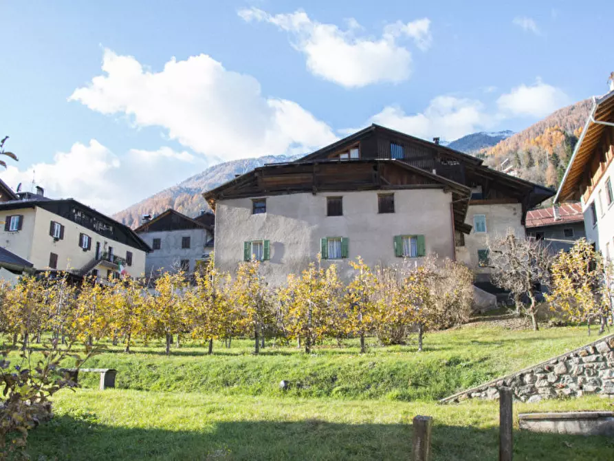 Immagine 2 di Casa indipendente in vendita  in Salita di Amblai, n.28 a Dimaro Folgarida