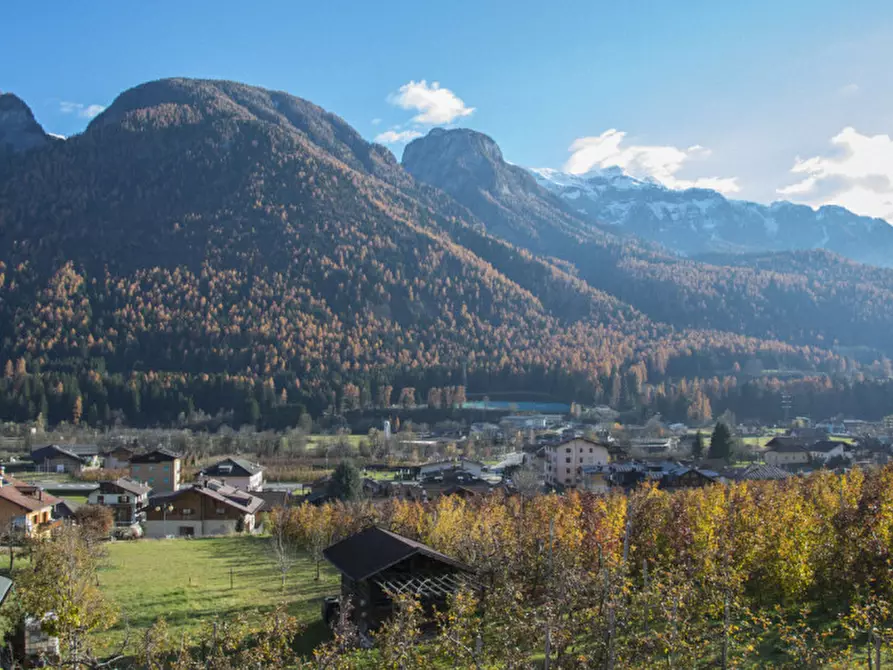 Immagine 3 di Casa indipendente in vendita  in Salita di Amblai, n.28 a Dimaro Folgarida