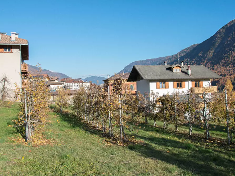 Immagine 4 di Casa indipendente in vendita  in Salita di Amblai, n.28 a Dimaro Folgarida
