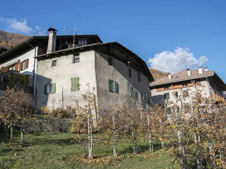 Immagine 5 di Casa indipendente in vendita  in Salita di Amblai, n.28 a Dimaro Folgarida