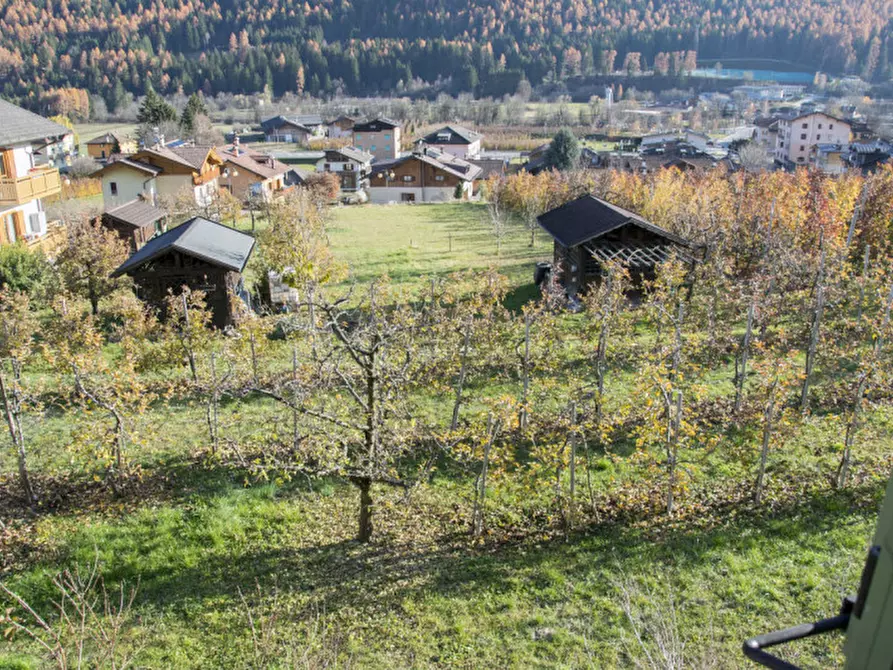 Immagine 6 di Casa indipendente in vendita  in Salita di Amblai, n.28 a Dimaro Folgarida