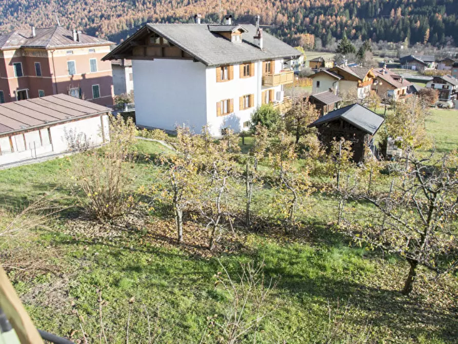 Immagine 7 di Casa indipendente in vendita  in Salita di Amblai, n.28 a Dimaro Folgarida