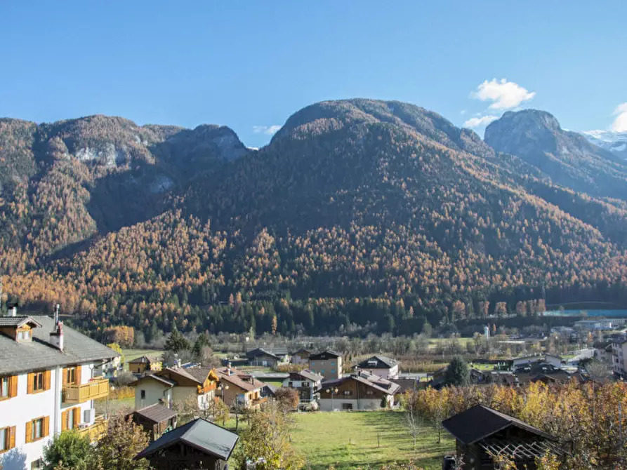 Immagine 19 di Casa indipendente in vendita  in Salita di Amblai, n.28 a Dimaro Folgarida