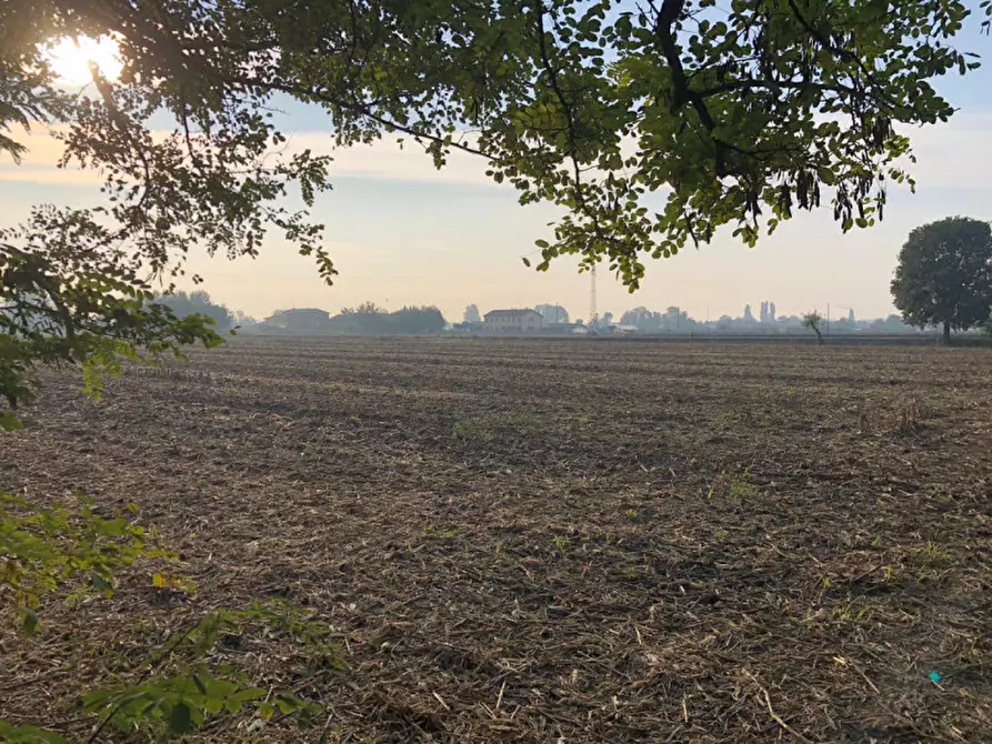 Immagine 5 di Terreno in vendita  in Via Fratelli Cervi a Castel D'azzano