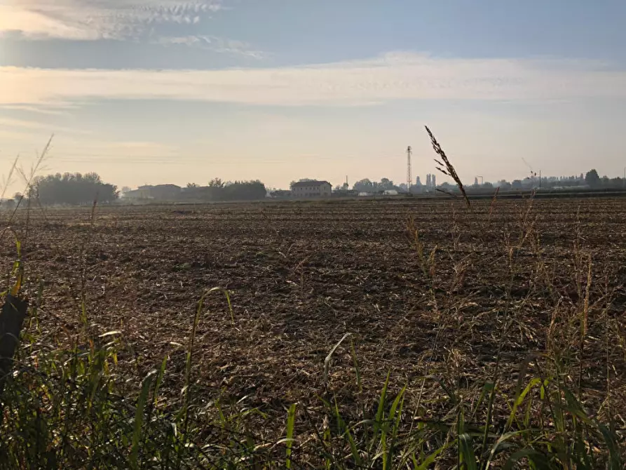 Immagine 6 di Terreno in vendita  in Via Fratelli Cervi a Castel D'azzano