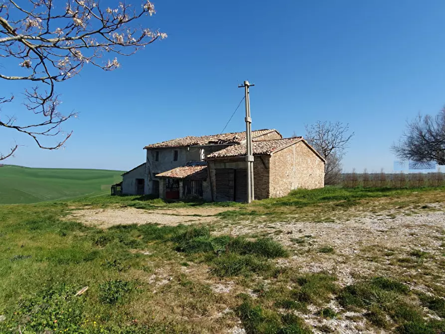 Immagine 2 di Rustico / casale in vendita  in Via San Pietro a Montegridolfo
