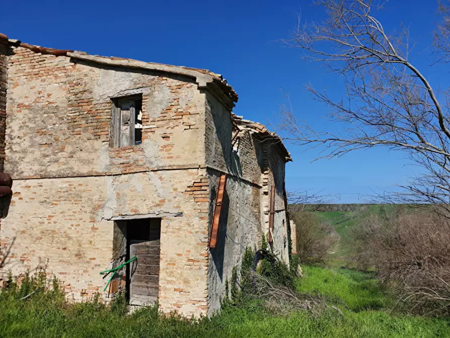 Immagine 6 di Rustico / casale in vendita  in Via San Pietro a Montegridolfo