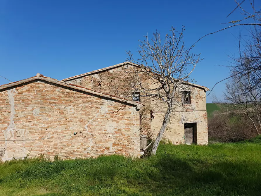 Immagine 7 di Rustico / casale in vendita  in Via San Pietro a Montegridolfo