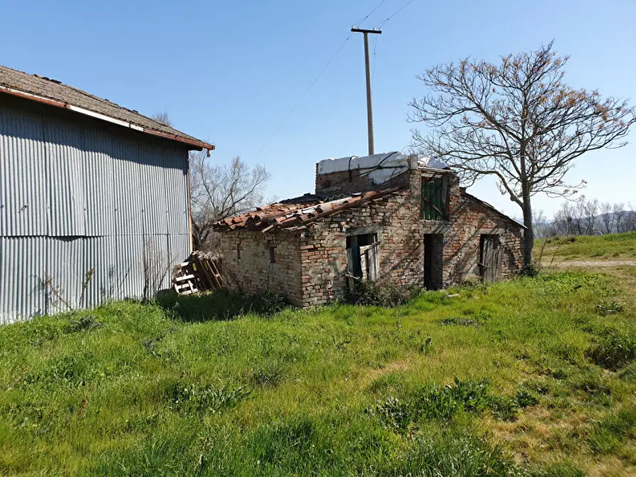 Immagine 8 di Rustico / casale in vendita  in Via San Pietro a Montegridolfo