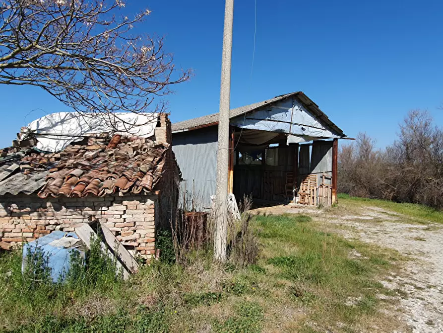 Immagine 10 di Rustico / casale in vendita  in Via San Pietro a Montegridolfo