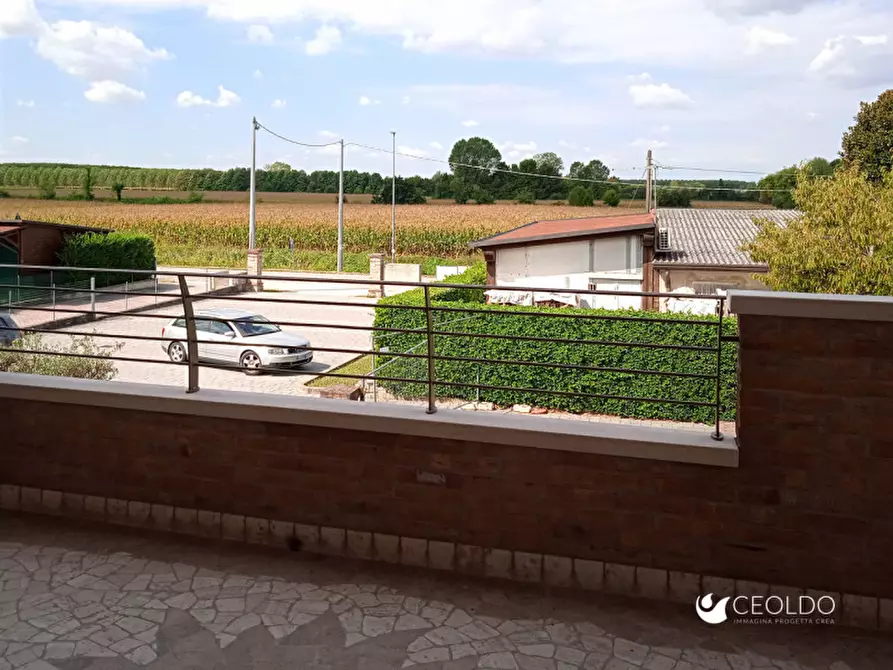 Immagine 4 di Casa bifamiliare in vendita  in Via Capitelli a Campodarsego