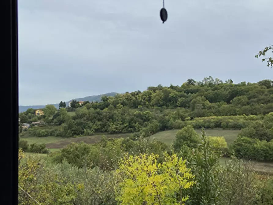 Immagine 4 di Rustico / casale in vendita  a Sarego