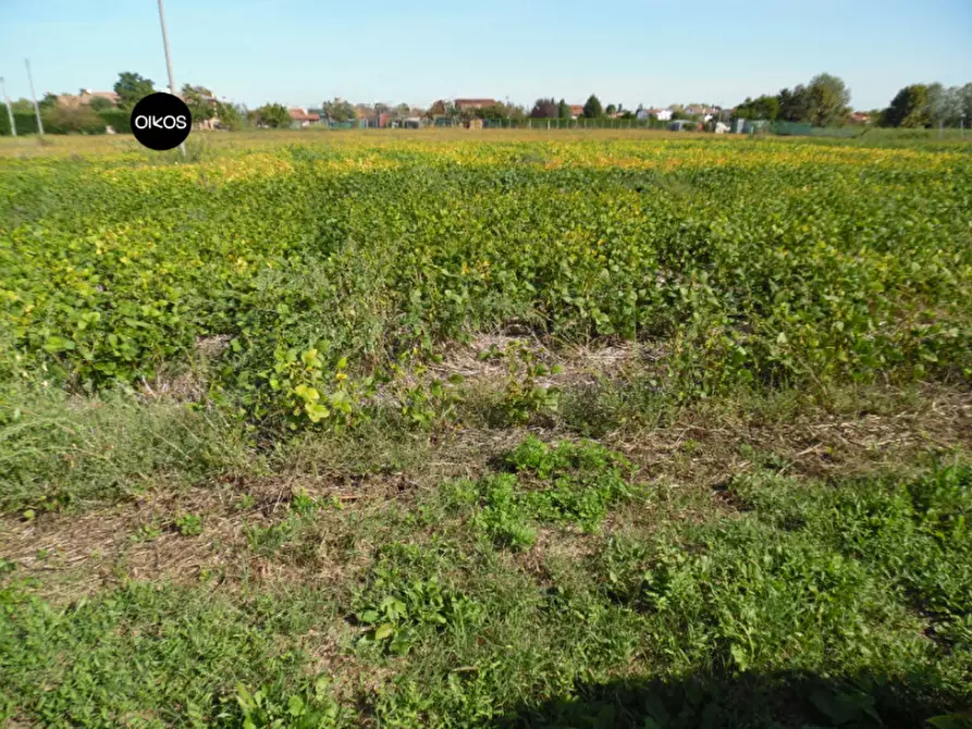 Immagine 1 di Terreno in vendita  a Campolongo Maggiore