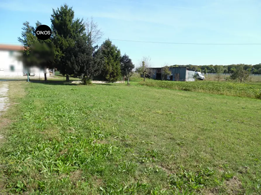 Immagine 2 di Terreno in vendita  a Campolongo Maggiore