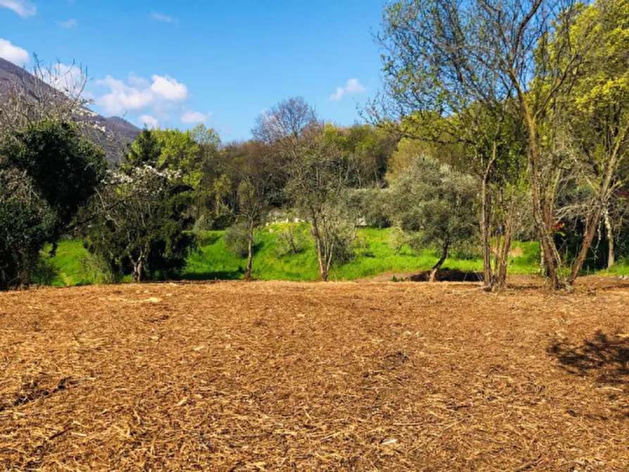 Immagine 3 di Terreno in vendita  a Gavardo