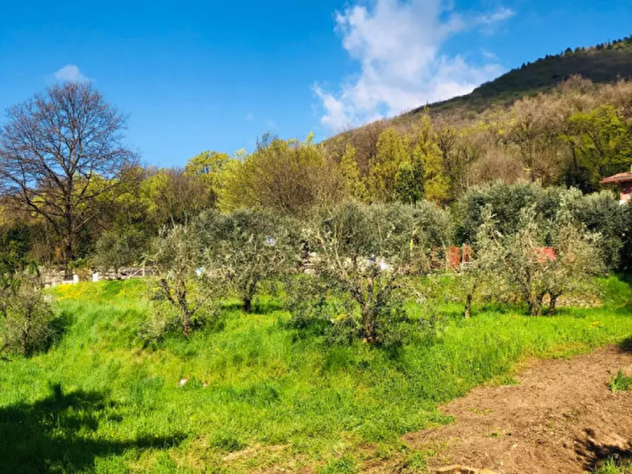 Immagine 4 di Terreno in vendita  a Gavardo