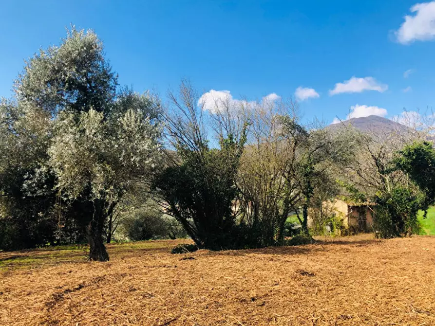Immagine 5 di Terreno in vendita  a Gavardo