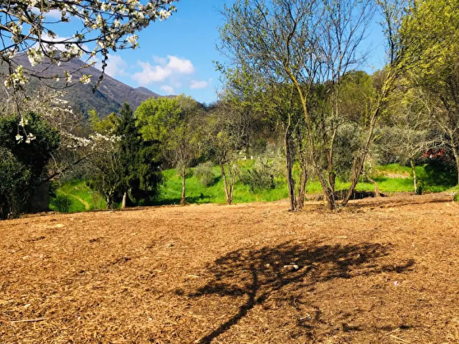 Immagine 9 di Terreno in vendita  a Gavardo