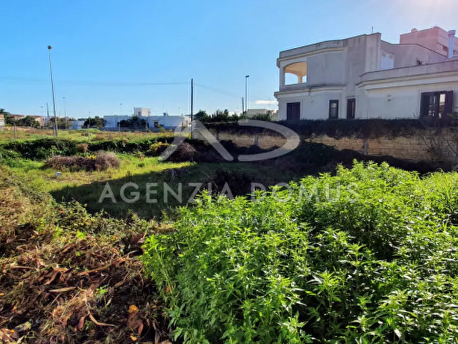 Immagine 7 di Terreno in vendita  in via w. tobagi a Taviano