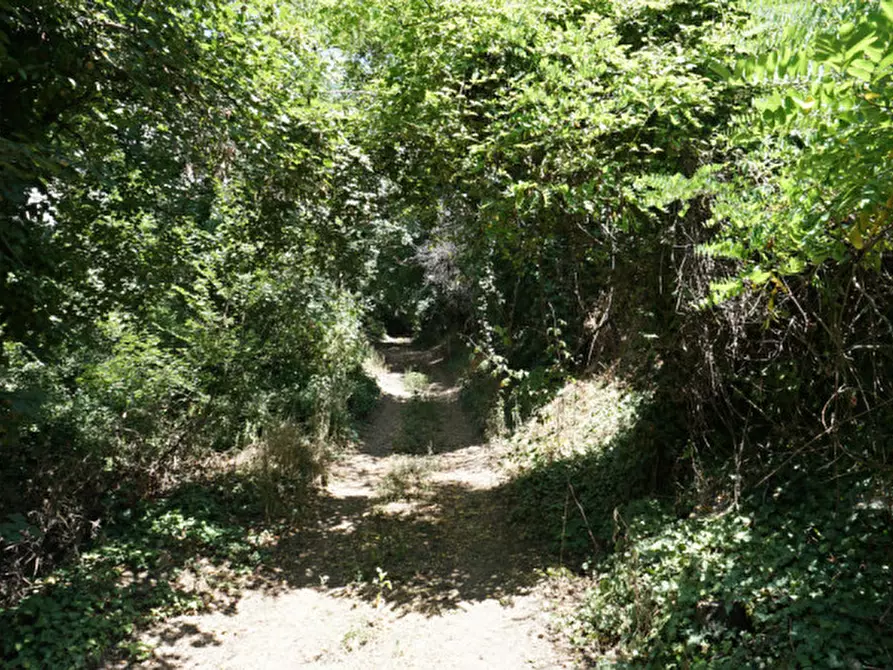 Immagine 3 di Casa bifamiliare in vendita  a Roncà