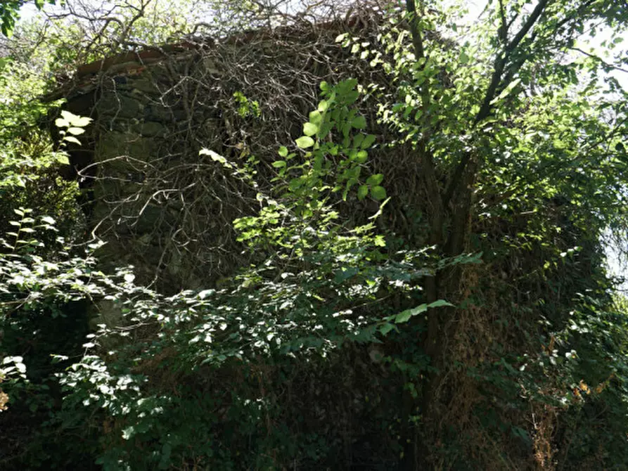 Immagine 6 di Casa bifamiliare in vendita  a Roncà