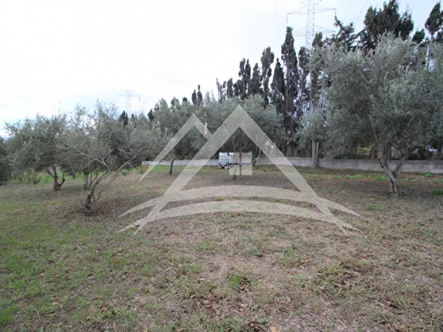 Immagine 3 di Capannone industriale in vendita  in Via Pigafetta, snc a Porto Torres