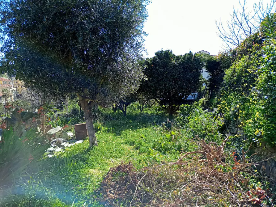 Immagine 2 di Terreno in vendita  in Via San Francesco a San Remo