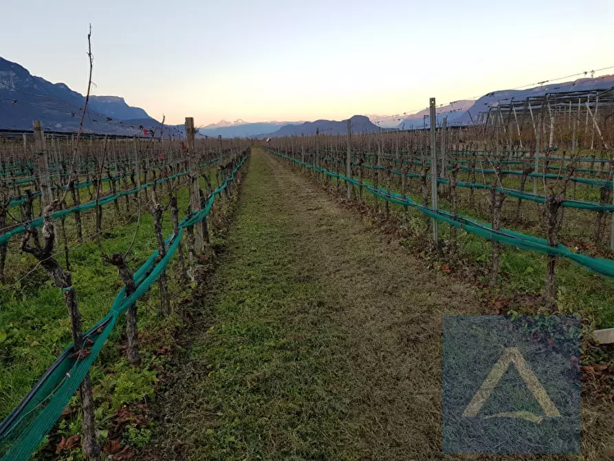 Immagine 2 di Terreno in vendita  a Egna .Neumarkt.