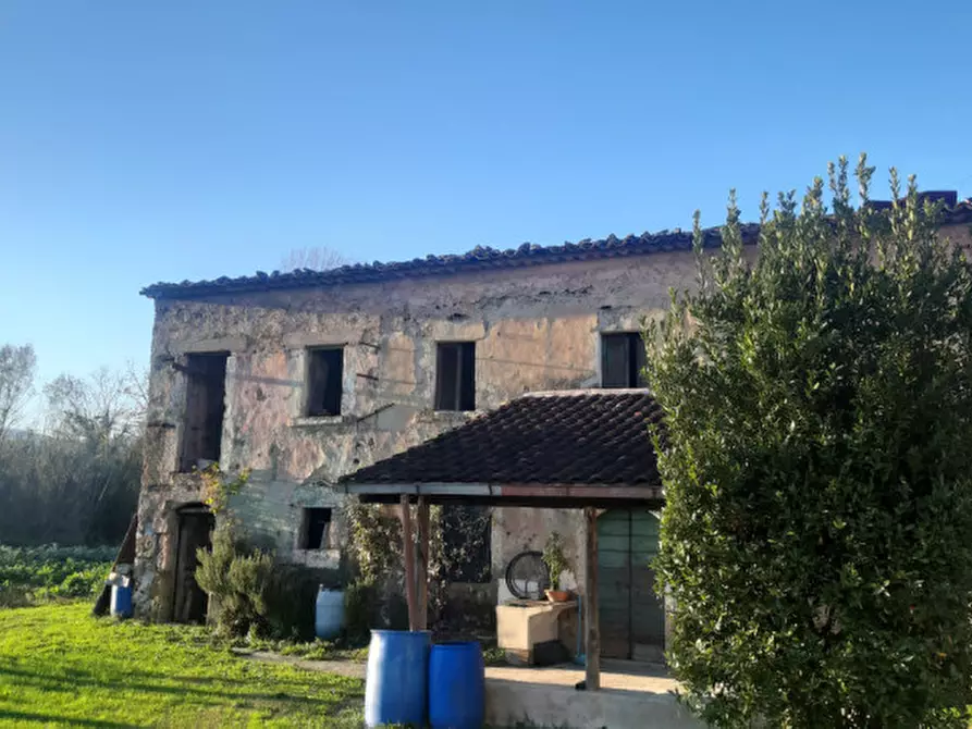Immagine 5 di Rustico / casale in vendita  a Sora